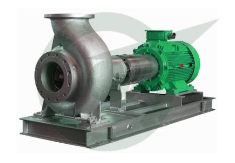 Process Pumps